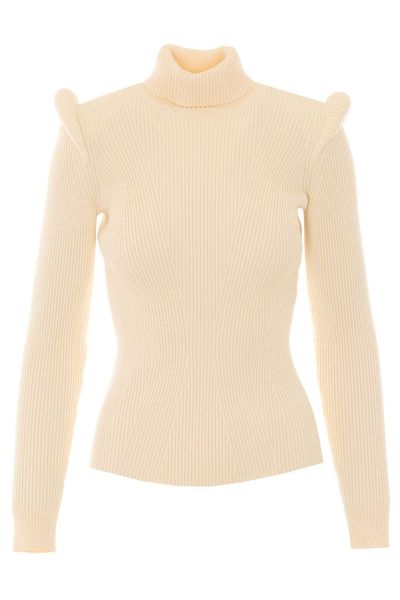 Elisabetta Franchi High Neck Knitted Jumper