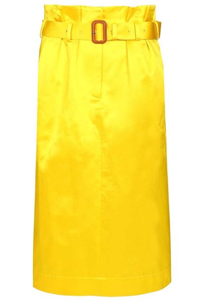 Dries Van Noten Seachy Belted Skirt