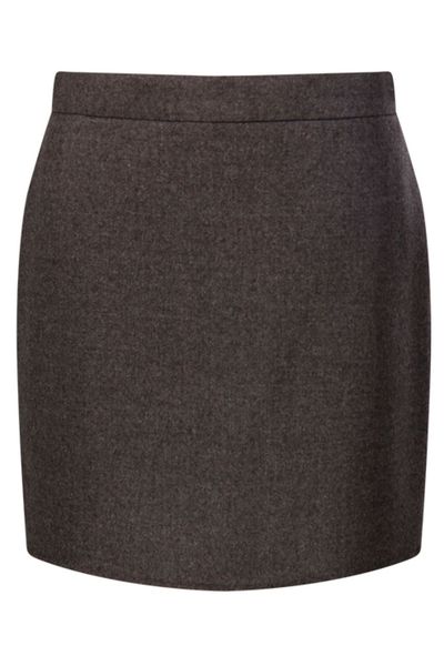 Max Mara Acinoso High Waist Mini Skirt