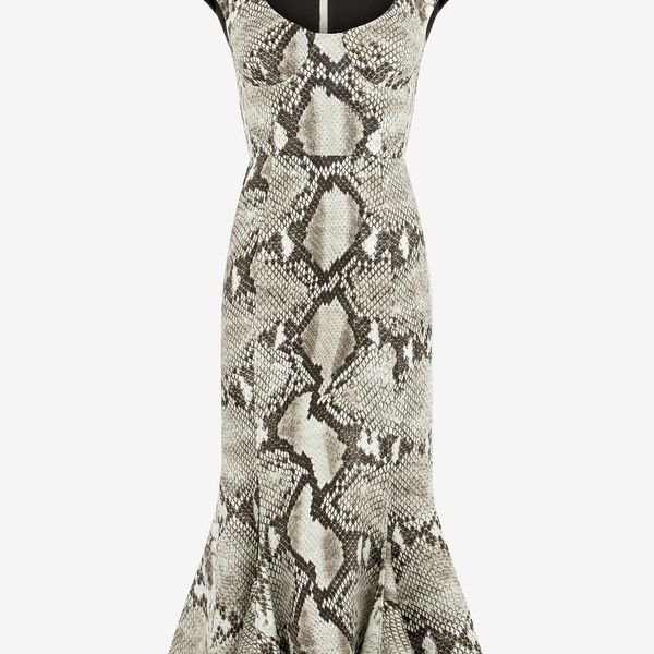 Roberto Cavalli Fitted Animal-Print Midi Dress