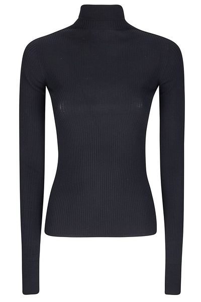 Sportmax Spxcentro Ribbed Turtleneck Knitted Top