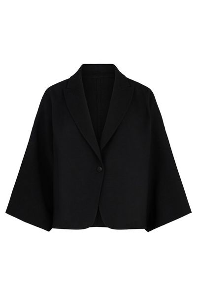 Max Mara V-Neck Single-Breasted Jacket