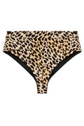 Dsquared2 X Bettter Leopard Printed Shorts