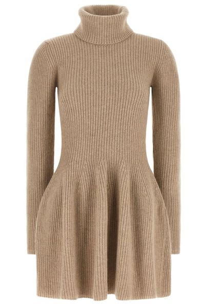 Magda Butrym Ribbed Turtleneck Knitted Dress
