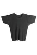 Homme Plissé Issey Miyake Basic Pleated T-Shirt