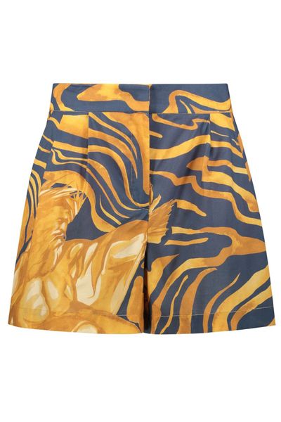 Alberta Ferretti Printed High-Waisted Shorts