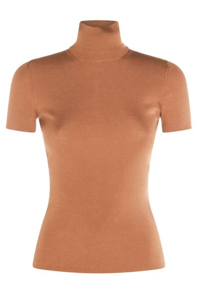 Max Mara Afa1234 High Neck Short-Sleeved Jumper