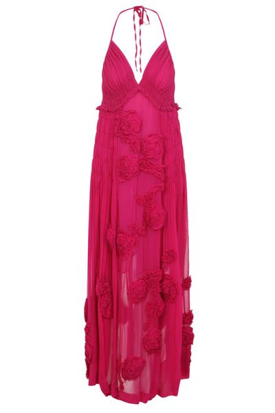 Dries Van Noten Drina Appliquéd Maxi Dress