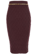Elisabetta Franchi Chain Linked Pencil Skirt