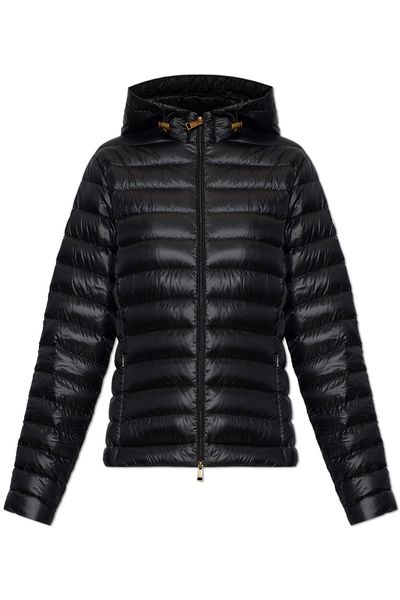 Moncler Igelhood Zip-Up Short Padded Jacket