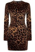 Dolce & Gabbana Leopard Printed Mini Dress