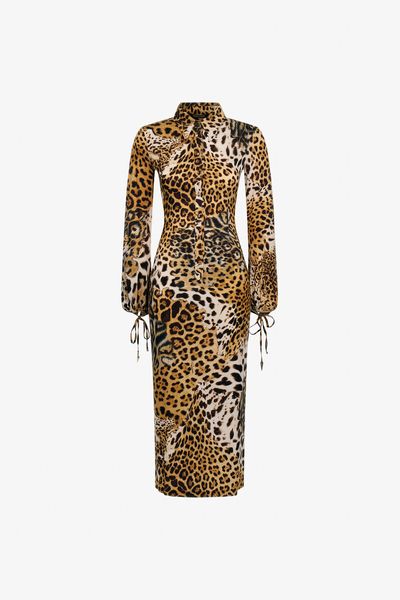 Roberto Cavalli Leopard Printed Midi Dress