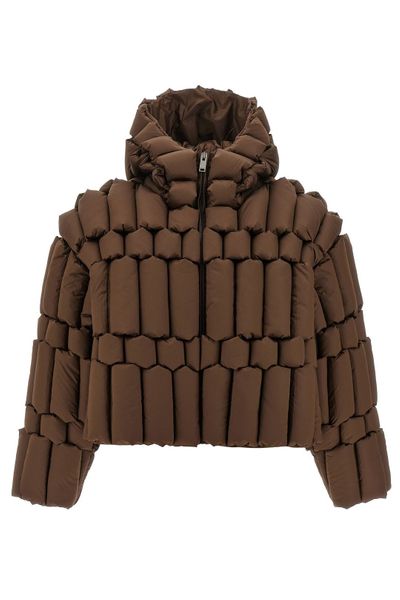 Raxxy Zip-Up Padded Jacket