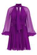 Dolce & Gabbana Draped Chiffon Mini Dress